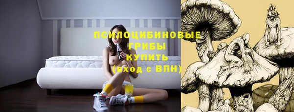 PSILOCYBIN Заволжск