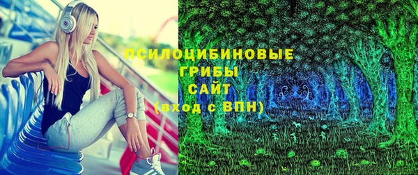 PSILOCYBIN Заволжск
